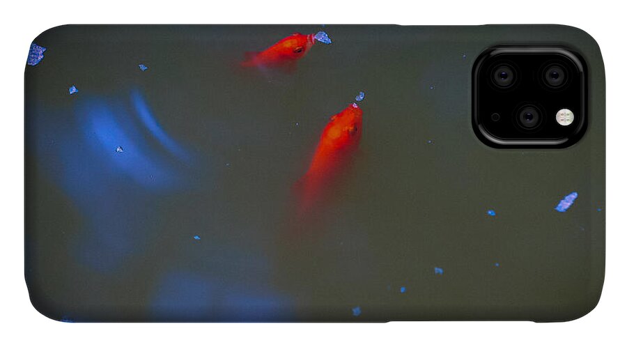 Gold fish eating - Phone Case