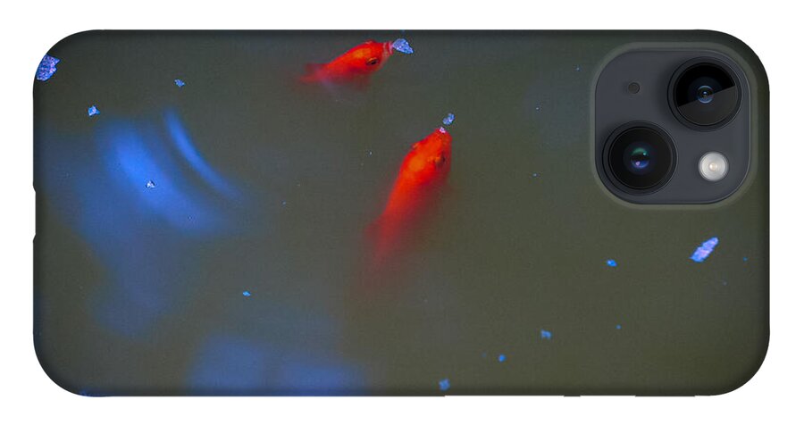 Gold fish eating - Phone Case