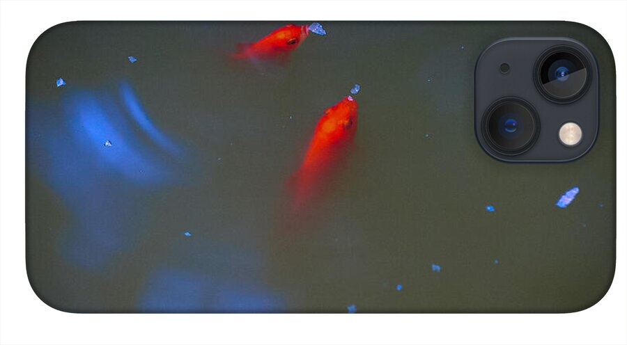 Gold fish eating - Phone Case