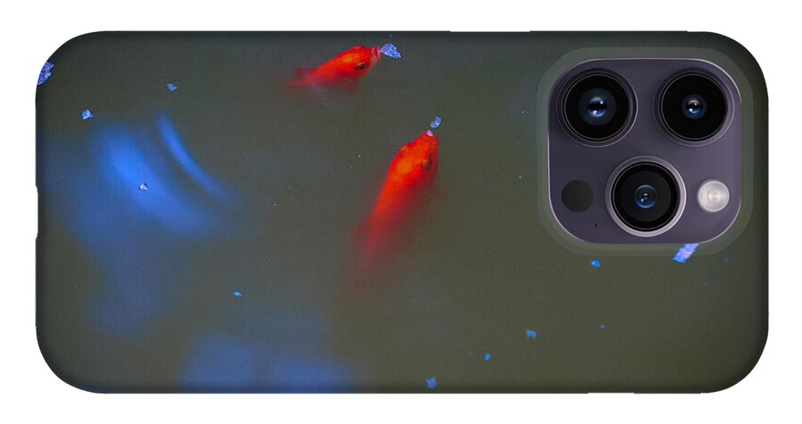 Gold fish eating - Phone Case