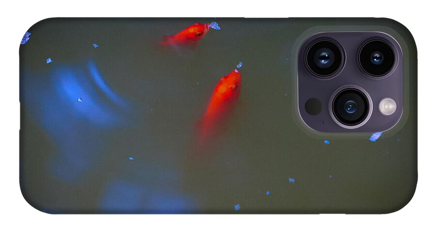 Gold fish eating - Phone Case