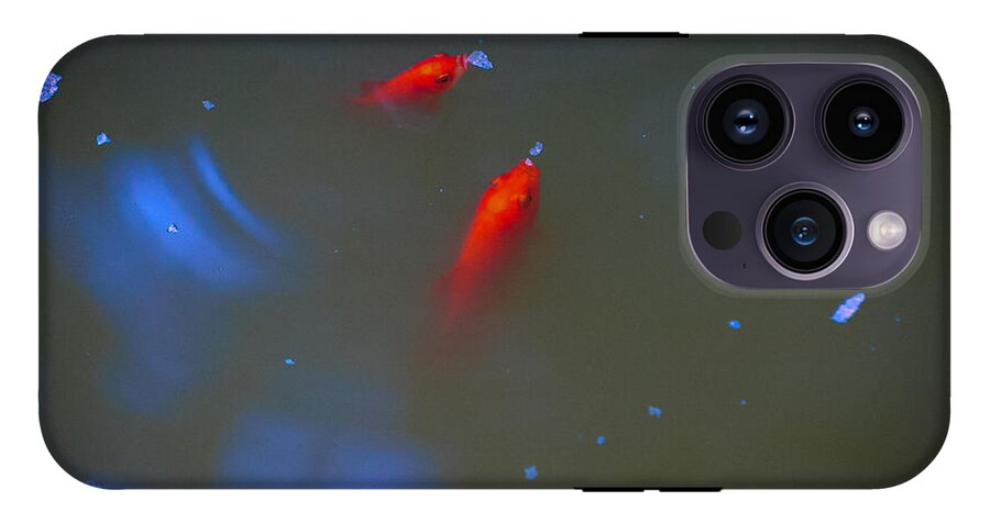 Gold fish eating - Phone Case