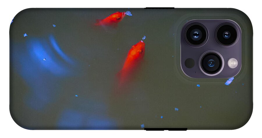 Gold fish eating - Phone Case