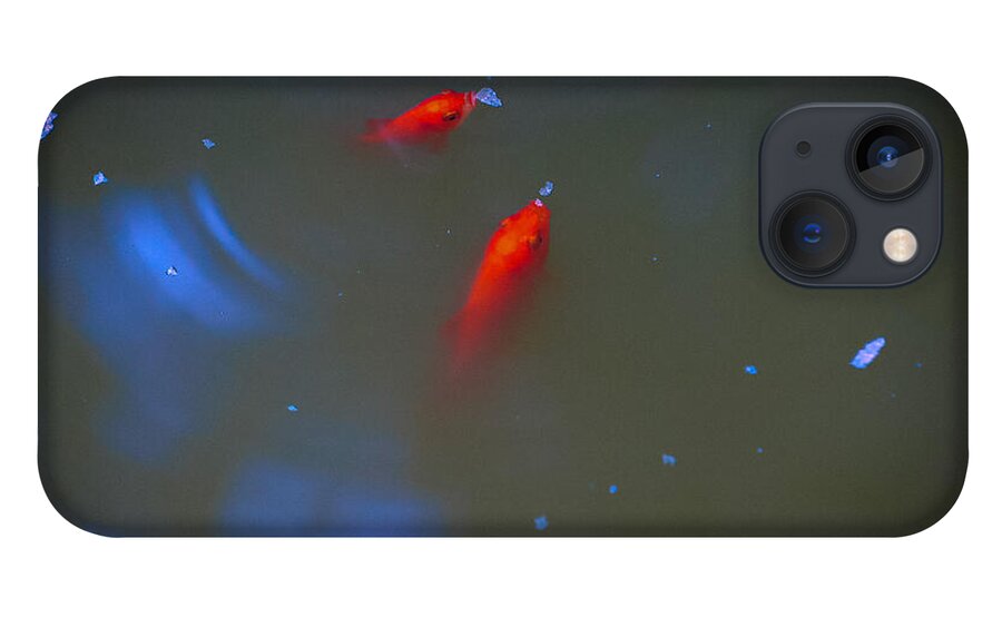 Gold fish eating - Phone Case