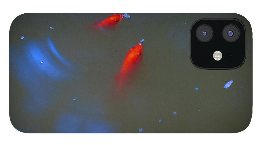 Gold fish eating - Phone Case