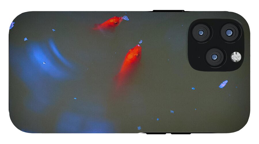 Gold fish eating - Phone Case