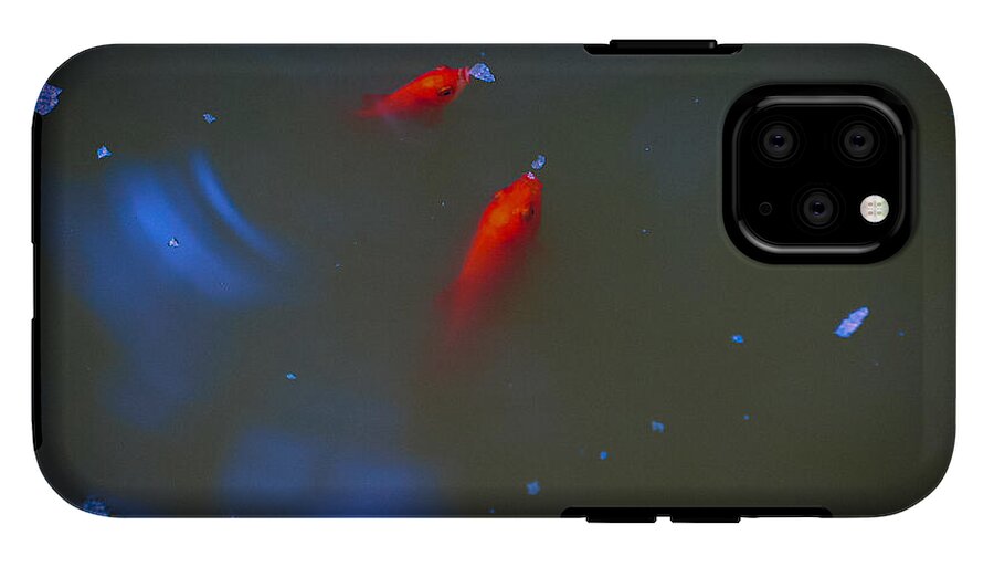 Gold fish eating - Phone Case