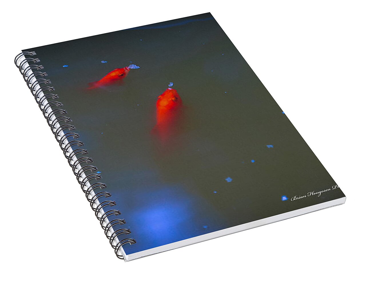 Gold fish eating - Spiral Notebook