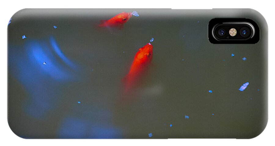 Gold fish eating - Phone Case