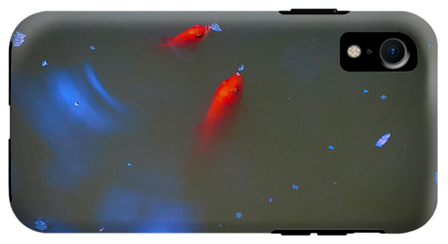 Gold fish eating - Phone Case