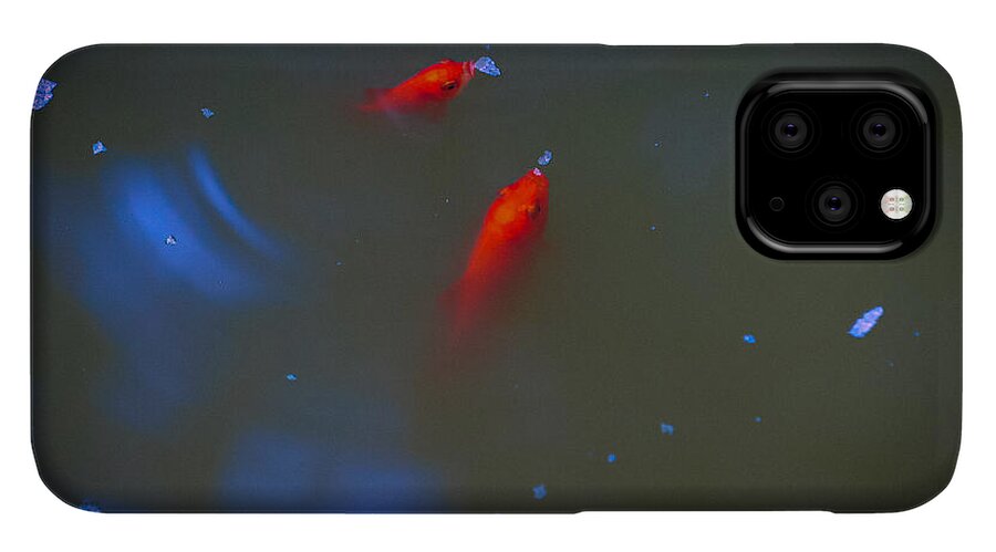 Gold fish eating - Phone Case