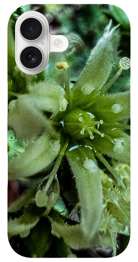 Green bloom - Phone Case