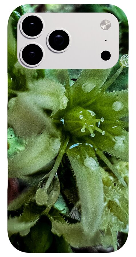 Green bloom - Phone Case