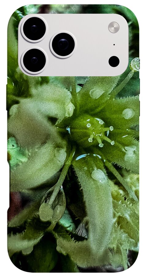 Green bloom - Phone Case