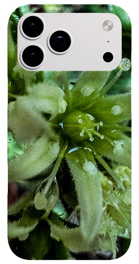 Green bloom - Phone Case