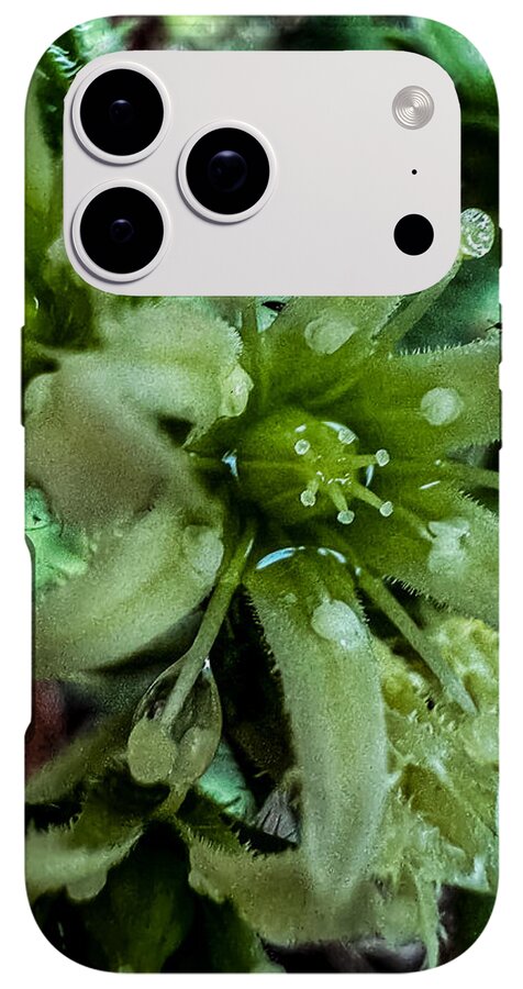 Green bloom - Phone Case