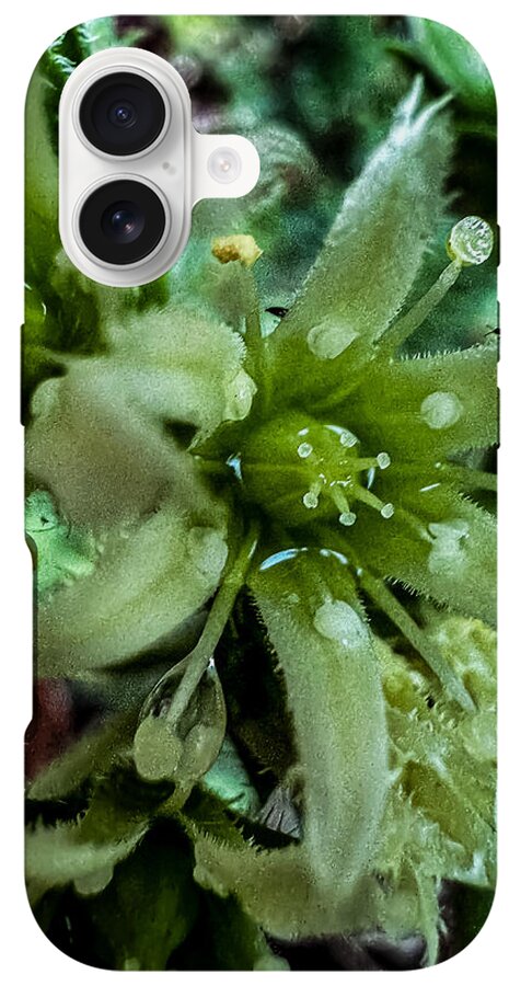 Green bloom - Phone Case