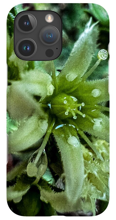 Green bloom - Phone Case