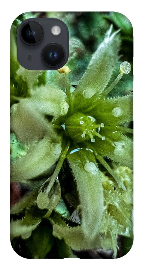 Green bloom - Phone Case
