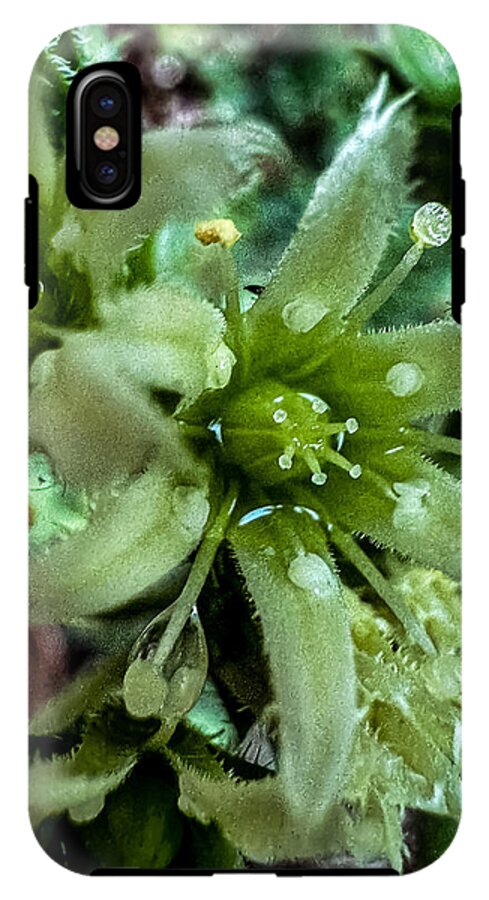 Green bloom - Phone Case
