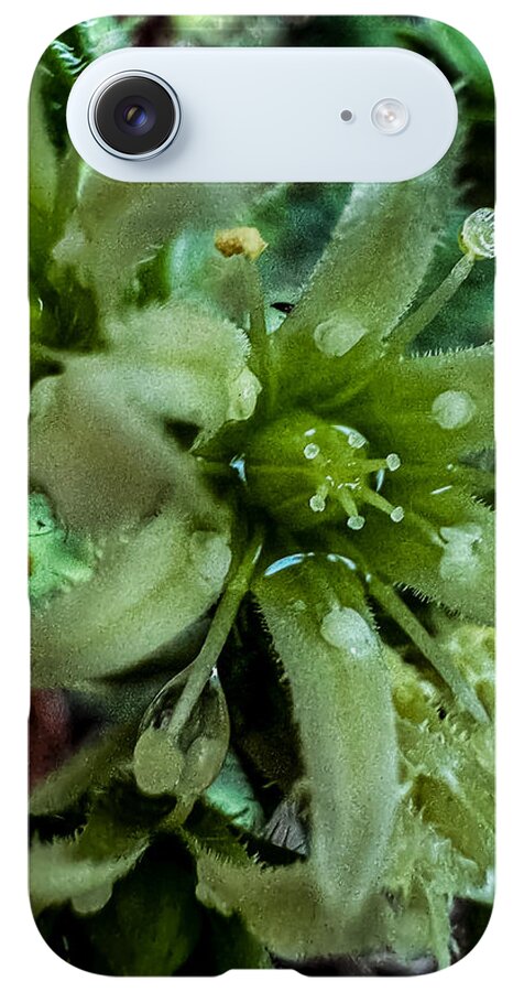 Green bloom - Phone Case