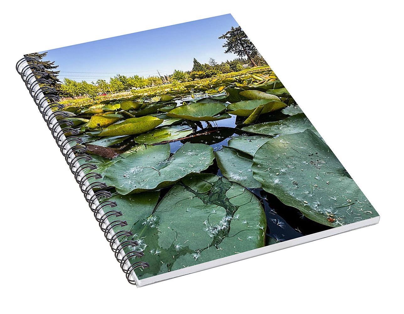 Lily pad - Spiral Notebook