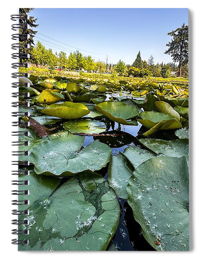 Lily pad - Spiral Notebook