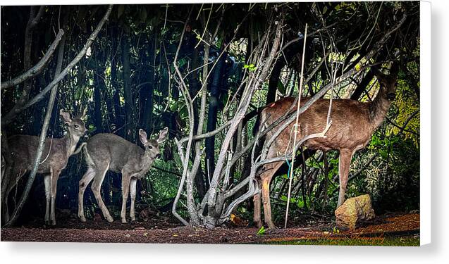 Mom and family - Canvas Print