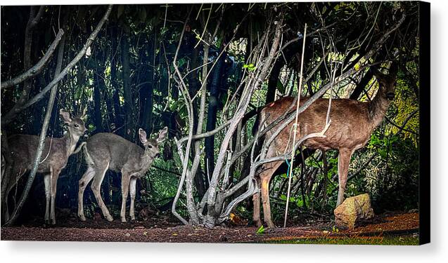 Mom and family - Canvas Print