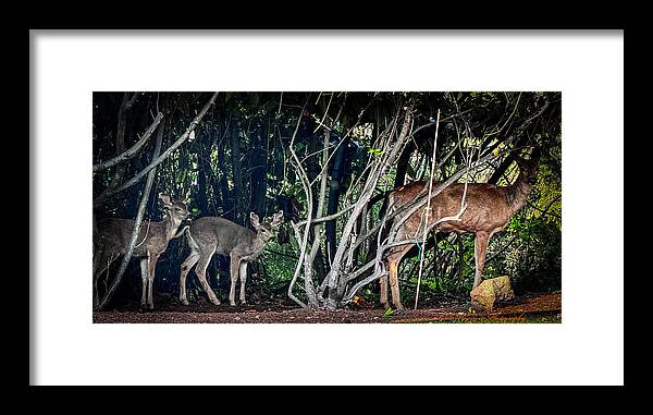 Mom and family - Framed Print