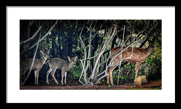 Mom and family - Framed Print