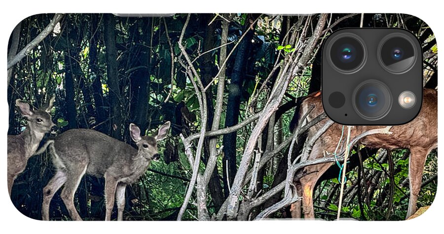 Mom and family - Phone Case