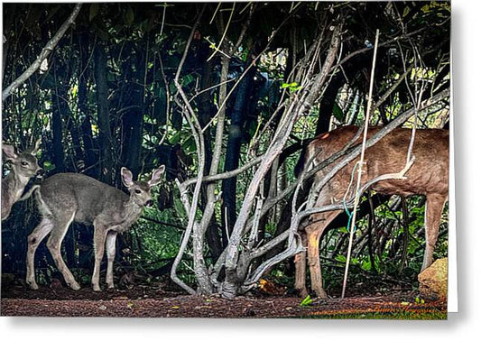 Mom and family - Greeting Card