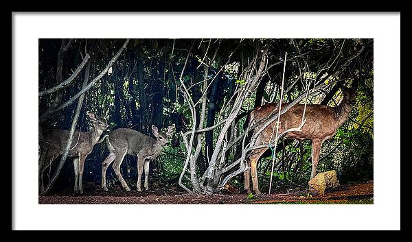 Mom and family - Framed Print