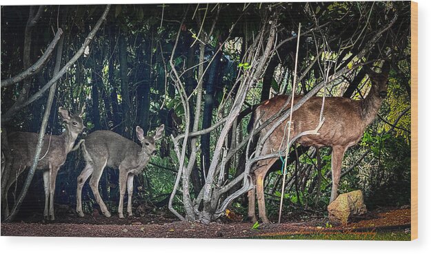 Mom and family - Wood Print
