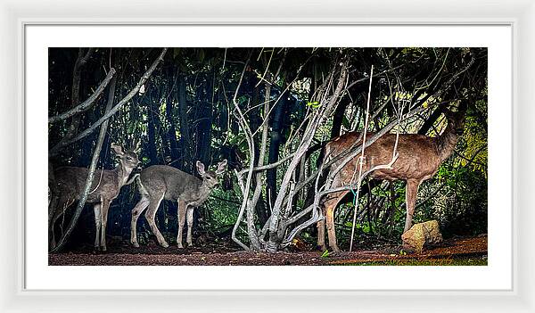 Mom and family - Framed Print