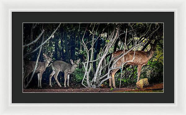 Mom and family - Framed Print