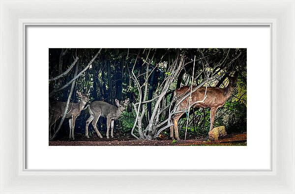 Mom and family - Framed Print