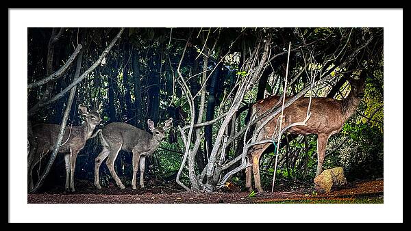 Mom and family - Framed Print