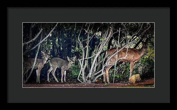 Mom and family - Framed Print