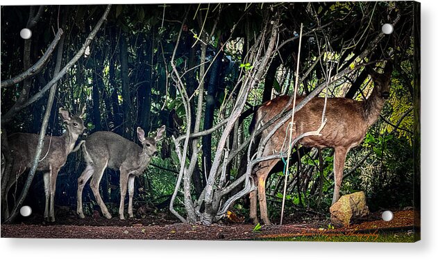 Mom and family - Acrylic Print