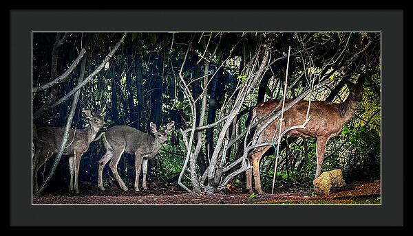 Mom and family - Framed Print