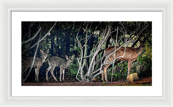 Mom and family - Framed Print