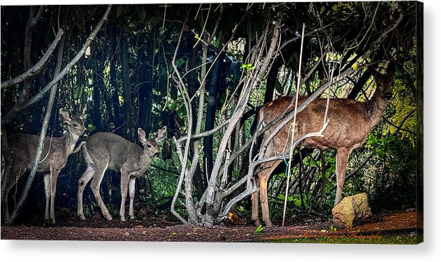 Mom and family - Acrylic Print