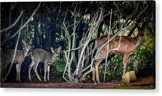 Mom and family - Acrylic Print