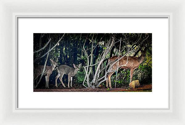 Mom and family - Framed Print