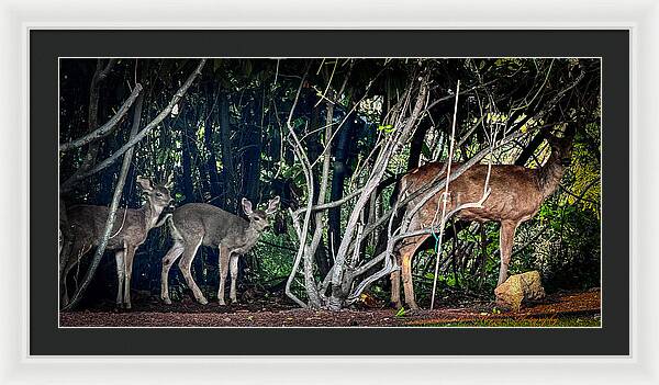 Mom and family - Framed Print