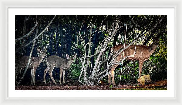Mom and family - Framed Print