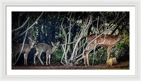 Mom and family - Framed Print
