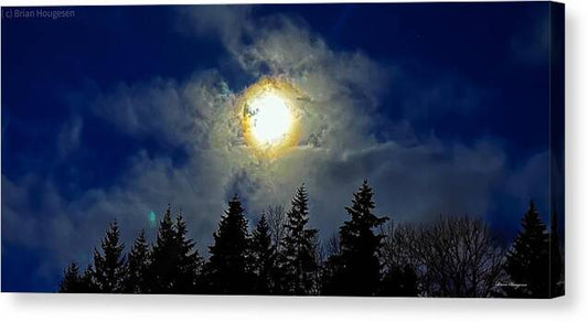 Moon - Canvas Print